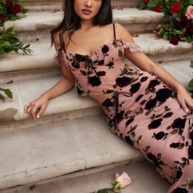 Graciela Dusty Pink Devore Top - Image 6
