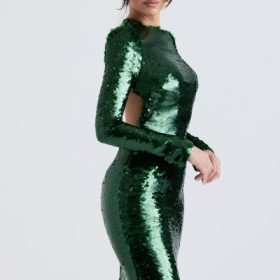 Belle Pine Green Sequin Maxi Dress - Image 10