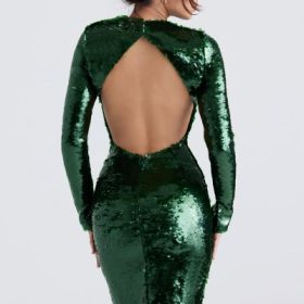 Belle Pine Green Sequin Maxi Dress - Image 13